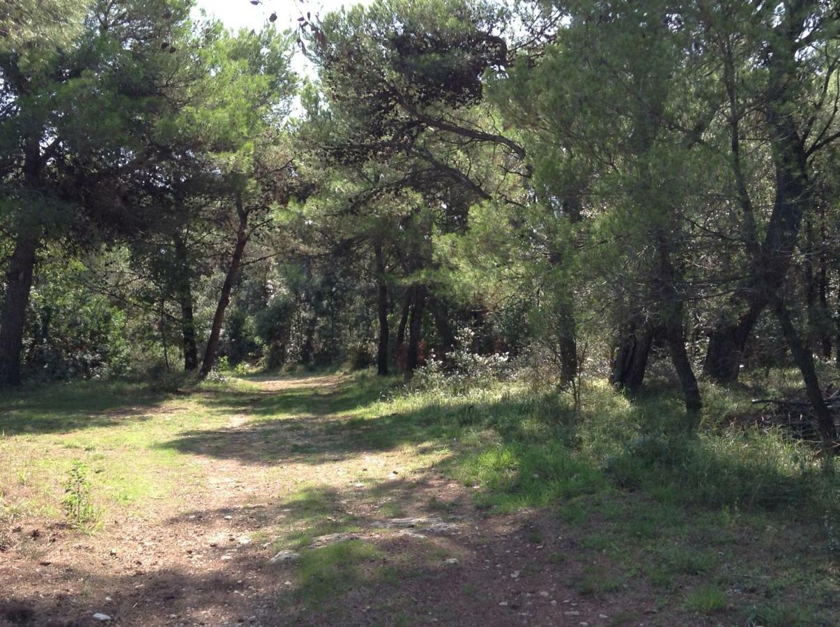 Casa Isabella Διαμέρισμα Πούλα Εξωτερικό φωτογραφία